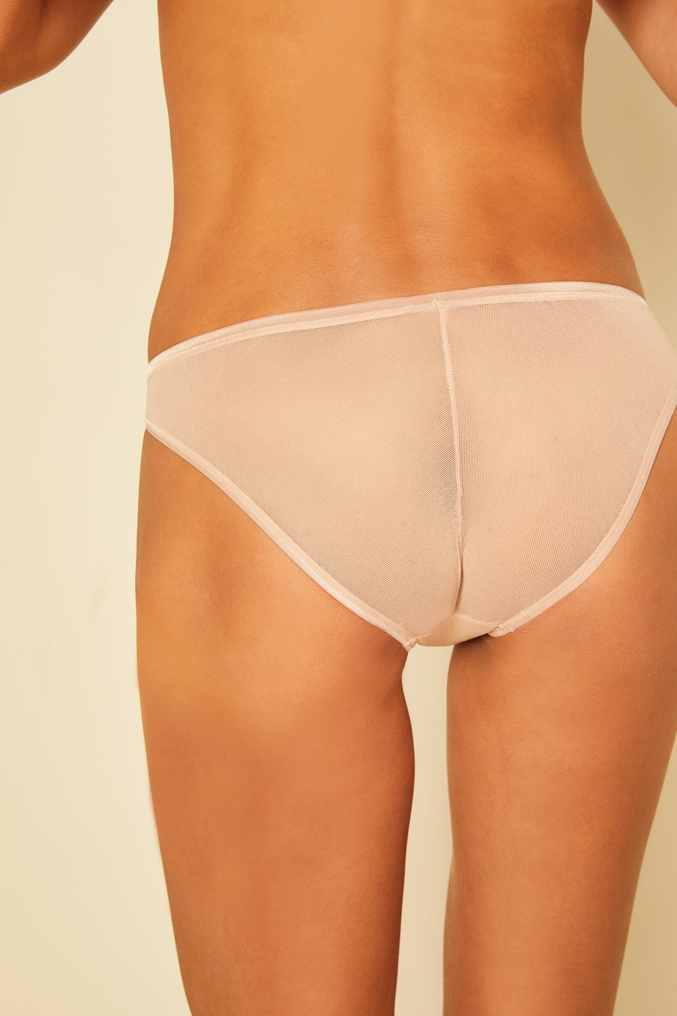 EGDE≪】 VERTICAL Mesh Super Low Rise Bikini Underwear - 3459